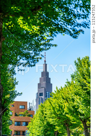 【東京都】爽やかな新緑越しに見えるドコモタワー 【東京都】爽やかな新緑越しに見えるドコモタワー 115247352