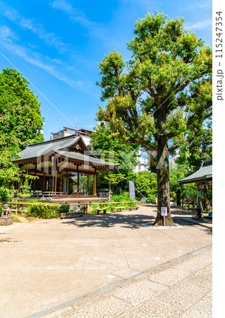 【東京都】爽やかな新緑が綺麗な鳩森八幡宮 115247354