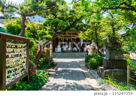 【東京都】爽やかな新緑が綺麗な鳩森八幡宮の御社殿 115247359