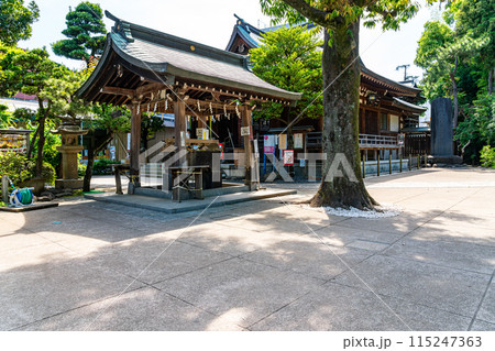 【東京都】爽やかな新緑が綺麗な鳩森八幡宮 【東京都】爽やかな新緑が綺麗な鳩森八幡宮 115247363
