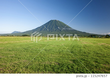 羊蹄山と大地 115247657