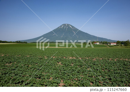 羊蹄山と大地 115247660