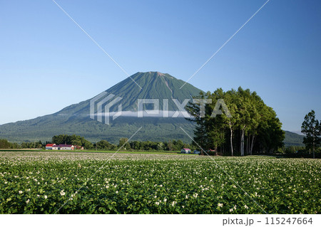 羊蹄山と大地 115247664