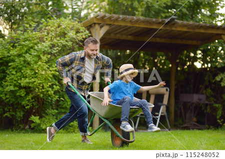 Wheelbarrow pushing by dad in domestic garden on warm sunny day. Active outdoors games for family with kids in the backyard Wheelbarrow pushing by dad in domestic garden on warm sunny day. Active outdoors games for family with kids in the backyard 115248052