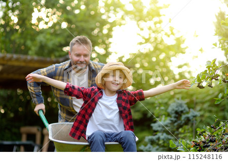 Wheelbarrow pushing by dad in domestic garden on warm sunny day. Active outdoors games for family with kids in the backyard Wheelbarrow pushing by dad in domestic garden on warm sunny day. Active outdoors games for family with kids in the backyard 115248116
