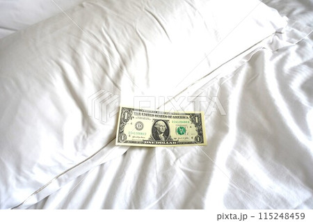 ピローチップ ベッドメイキング チップ ドル ピローチップ ベッドメイキング チップ ドル 115248459