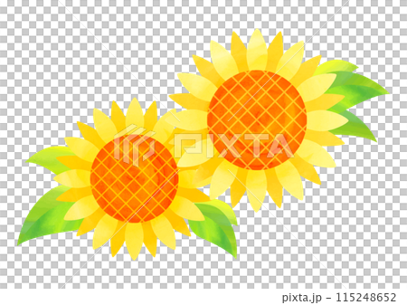 水彩タッチのひまわりの花イラスト 115248652