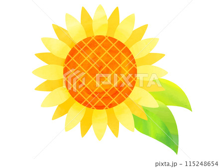 水彩タッチのひまわりの花イラスト 115248654