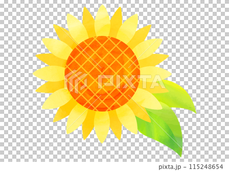 水彩タッチのひまわりの花イラスト 115248654