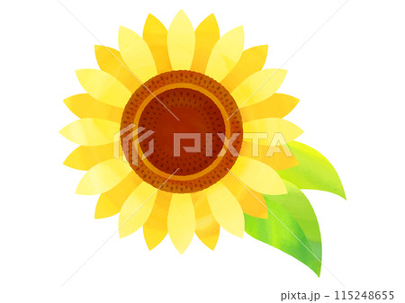 水彩タッチのひまわりの花イラスト 115248655