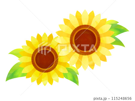水彩タッチのひまわりの花イラスト 水彩タッチのひまわりの花イラスト 115248656
