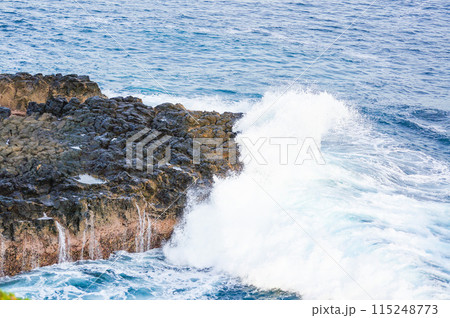 海岸に打ち寄せる波 115248773
