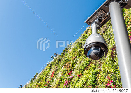 青空とグリーンウォールと防犯カメラ 115249067