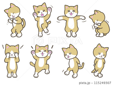いろいろな感情を表す猫　気持ち 115249307