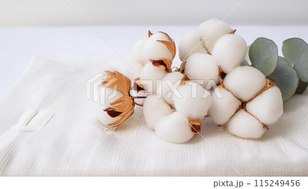 コットンとユーカリと葉と清潔なリネン生地 コットンとユーカリと葉と清潔なリネン生地 115249456