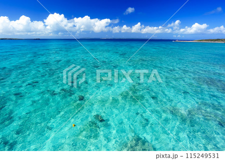 沖縄　宮古島　透明度抜群の海 115249531