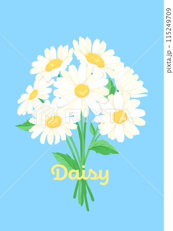 デイジーの花束のベクターイラスト デザイン素材 白い花の飾りの