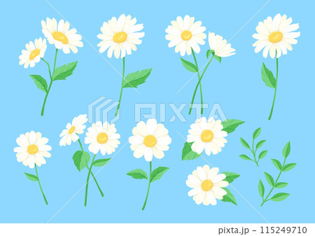 デイジーの花のベクターイラスト 素材のセット 白い花や葉っぱの挿絵 デイジーの花のベクターイラスト 素材のセット 白い花や葉っぱの挿絵 115249710