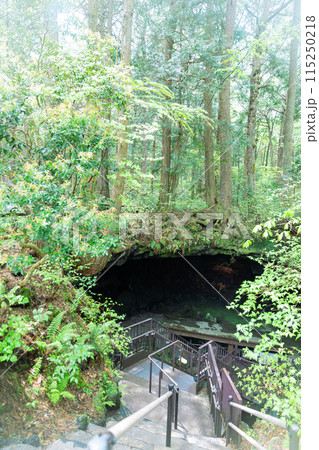 鳴沢氷穴 鳴沢氷穴 115250218
