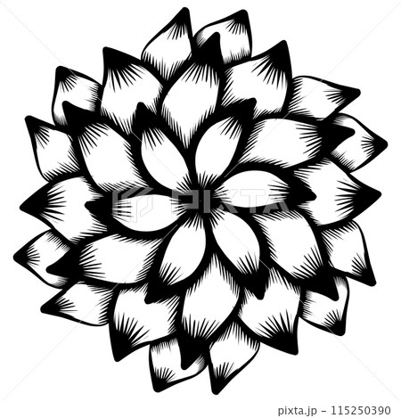 Design graphic of Botanical circle frame. Hand drawn round line border, leaves and flowers, wedding invitation and cards, logo design and posters template. Elegant minimal style floral vector isolated 115250390