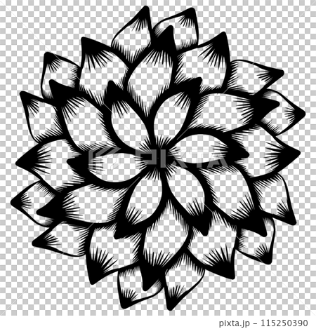 Design graphic of Botanical circle frame. Hand drawn round line border, leaves and flowers, wedding invitation and cards, logo design and posters template. Elegant minimal style floral vector isolated 115250390