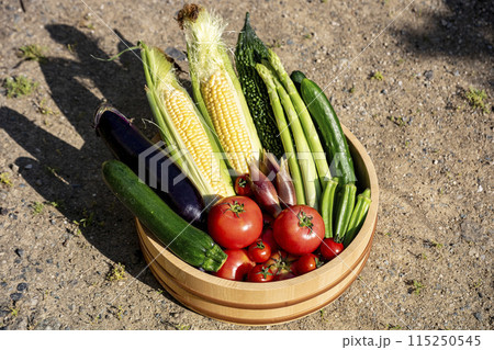色とりどりの野菜 野菜集合 色とりどりの野菜 野菜集合 115250545