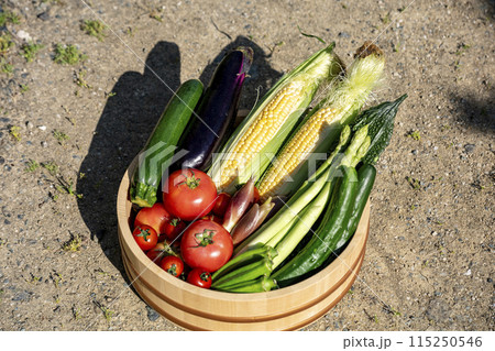色とりどりの野菜 野菜集合 色とりどりの野菜 野菜集合 115250546