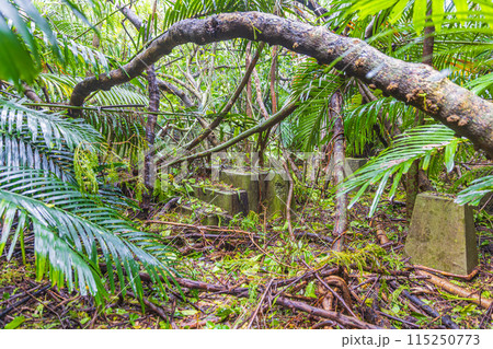 小笠原諸島・母島 海軍施設跡地 小笠原諸島・母島 海軍施設跡地 115250773