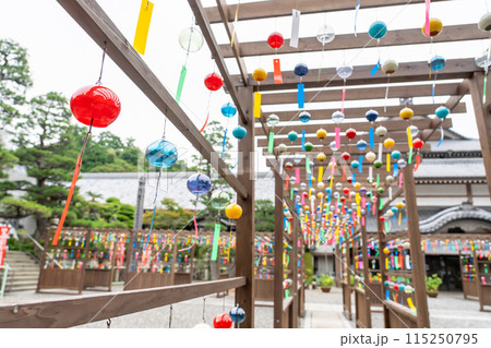 静岡県袋井市　可睡斎の境内に飾られる遠州三山風鈴まつりの江戸風鈴 115250795