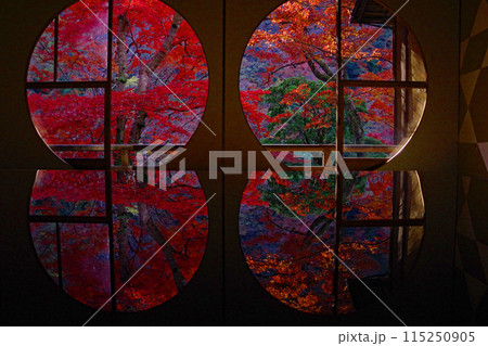 嵐山 嵐山 115250905