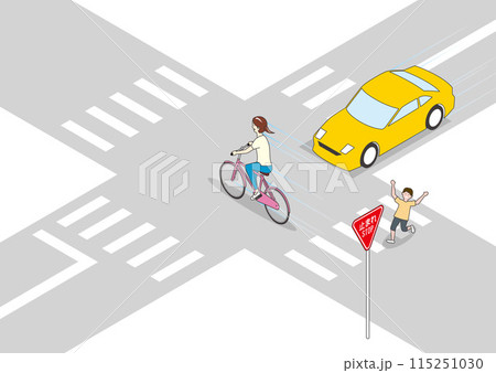 自転車違反：一時不停止 115251030