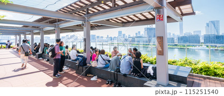 「東京都」豊洲千客万来の足湯庭園の風景 「東京都」豊洲千客万来の足湯庭園の風景 115251540