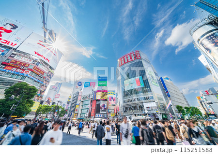 「東京都」渋谷スクランブル交差点の風景 渋谷区 「東京都」渋谷スクランブル交差点の風景 渋谷区 115251588