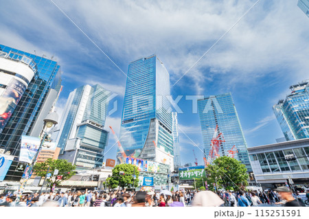 「東京都」渋谷スクランブル交差点の風景 渋谷区 「東京都」渋谷スクランブル交差点の風景 渋谷区 115251591