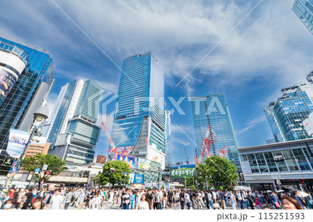 「東京都」渋谷スクランブル交差点の風景 渋谷区 「東京都」渋谷スクランブル交差点の風景 渋谷区 115251593