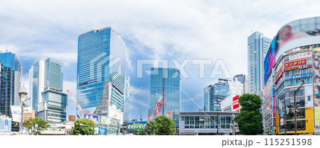 「東京都」渋谷スクランブル交差点の風景 渋谷区 「東京都」渋谷スクランブル交差点の風景 渋谷区 115251598
