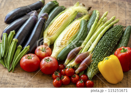 色とりどりの野菜 野菜集合 色とりどりの野菜 野菜集合 115251671