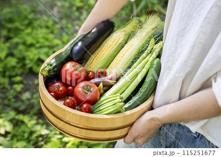 色とりどりの野菜　野菜集合 115251677