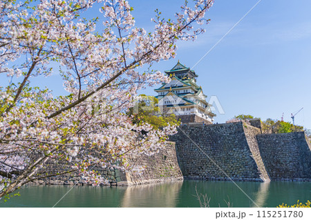 【春の大阪城公園】大阪城天守閣と桜 115251780