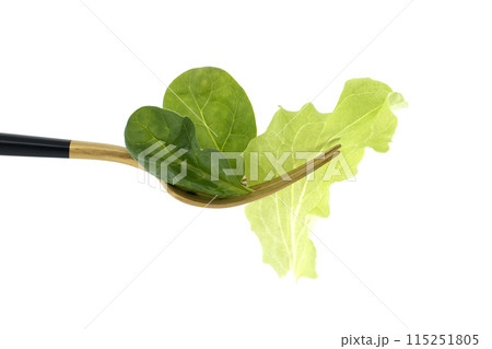 Fresh green tone of the lettuce leaves on gold fork isolated on white 115251805