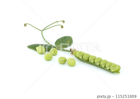 Pea pods surrounded by a green leaf with a pointed tip Pea pods surrounded by a green leaf with a pointed tip 115251809