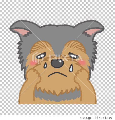 Illustration of a Yorkshire terrier with a sad expression 115251839