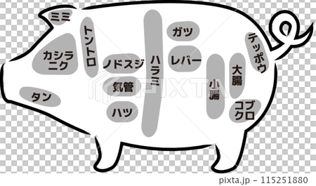 豬各部位(內臟)的簡單剪影圖 豬各部位(內臟)的簡單剪影圖 115251880