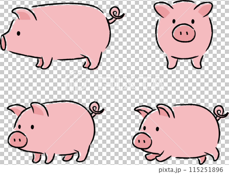 シンプルでかわいい豚のイラストセット シンプルでかわいい豚のイラストセット 115251896