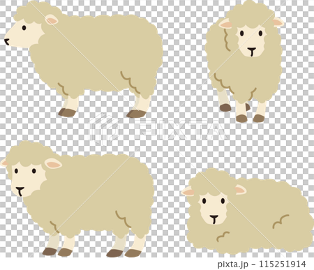 シンプルでかわいい羊のイラストセット シンプルでかわいい羊のイラストセット 115251914