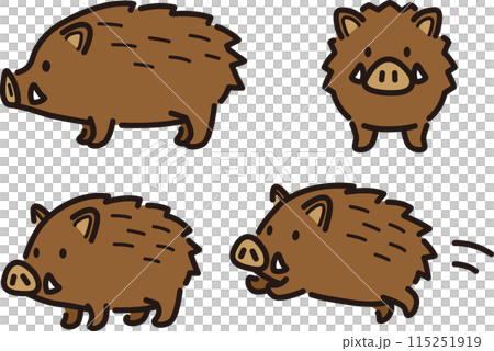 Simple and cute wild boar illustration set Simple and cute wild boar illustration set 115251919