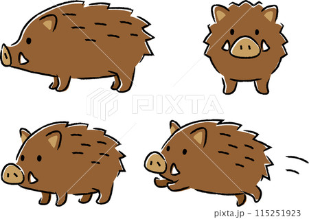 シンプルでかわいいイノシシのイラストセット シンプルでかわいいイノシシのイラストセット 115251923