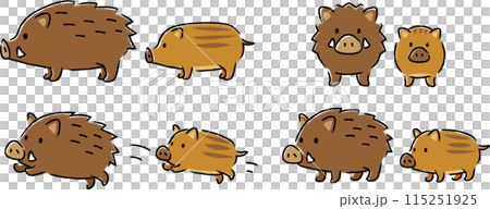 Simple and cute illustration set of wild boar and baby boar 115251925