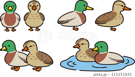 シンプルでかわいい鴨の雄雌イラストセット 115251933