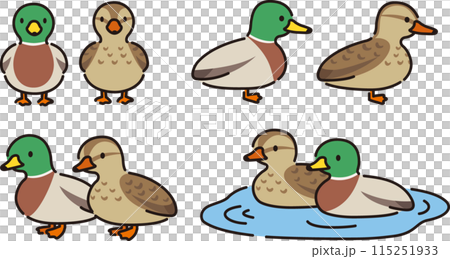シンプルでかわいい鴨の雄雌イラストセット 115251933